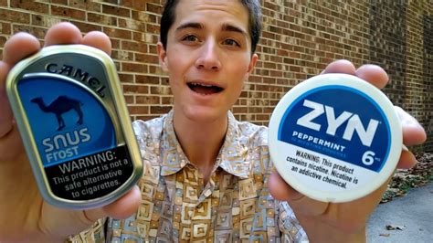 And smokeless tobacco products are often promoted as a safer option. . Does zyn cause cancer